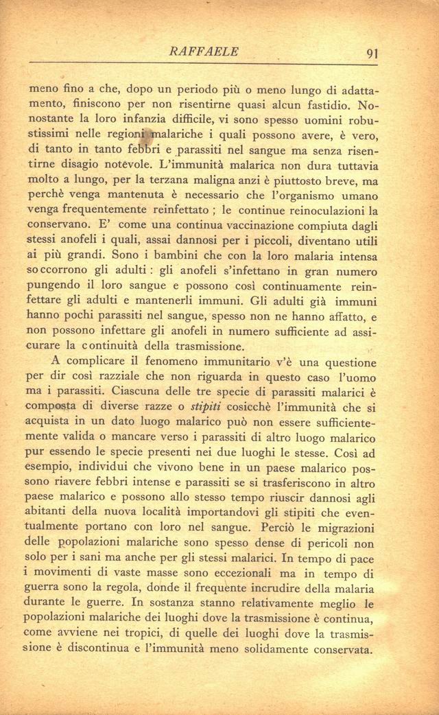 0100091.jpg