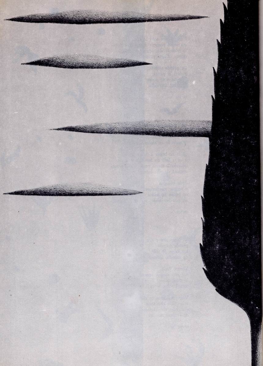 0100032.jpg