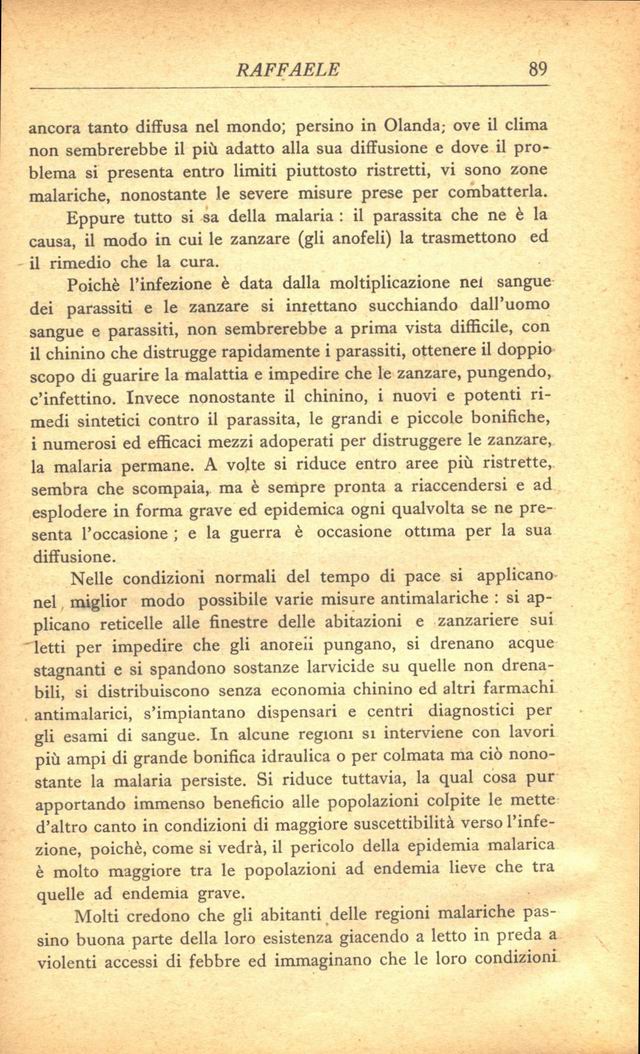 0100089.jpg