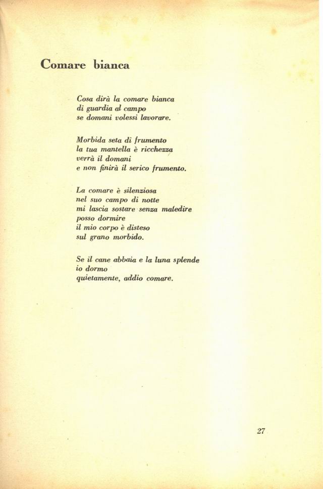 0200027.jpg